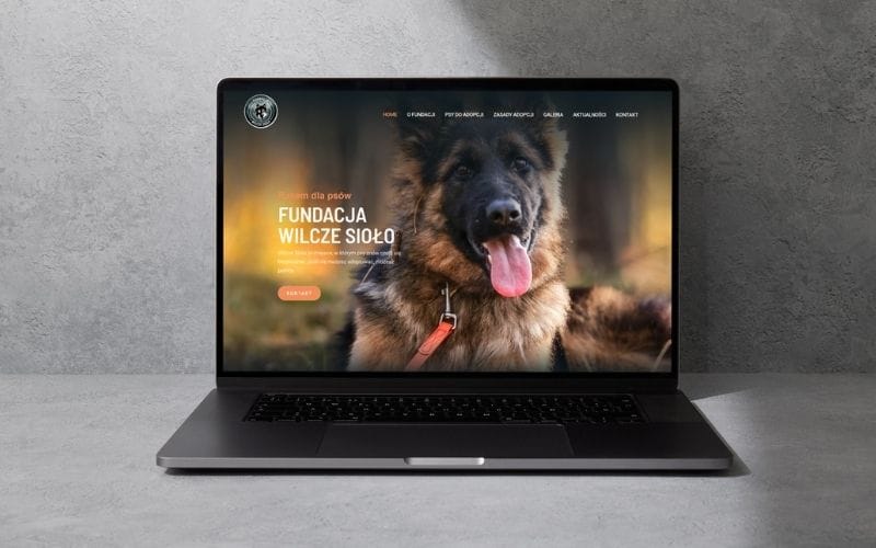 projekt strony www dla fundacji